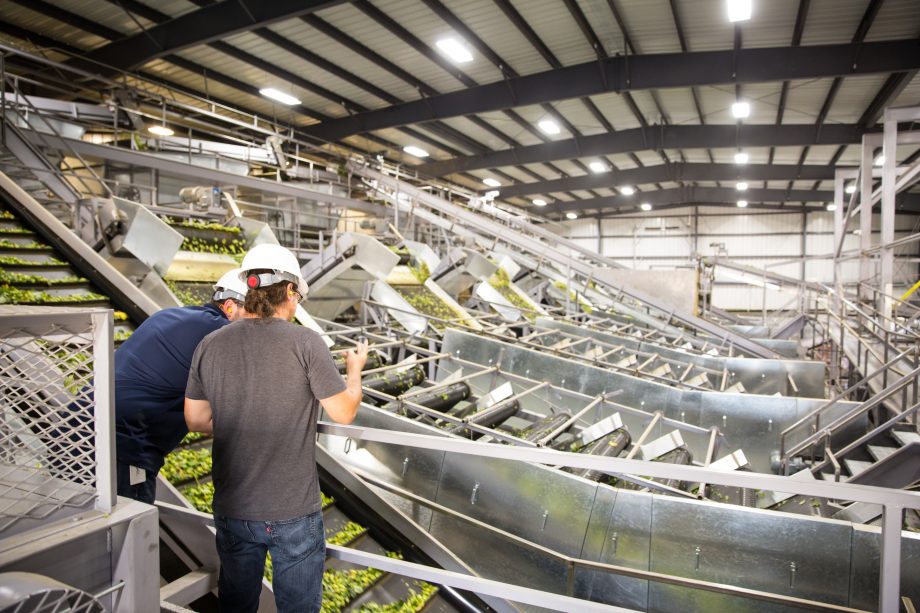 two men standing and looking at hops in a facility