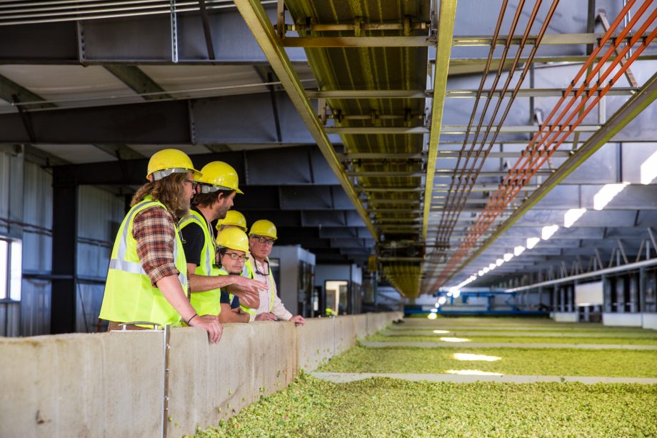 people in hard hats looking at hops