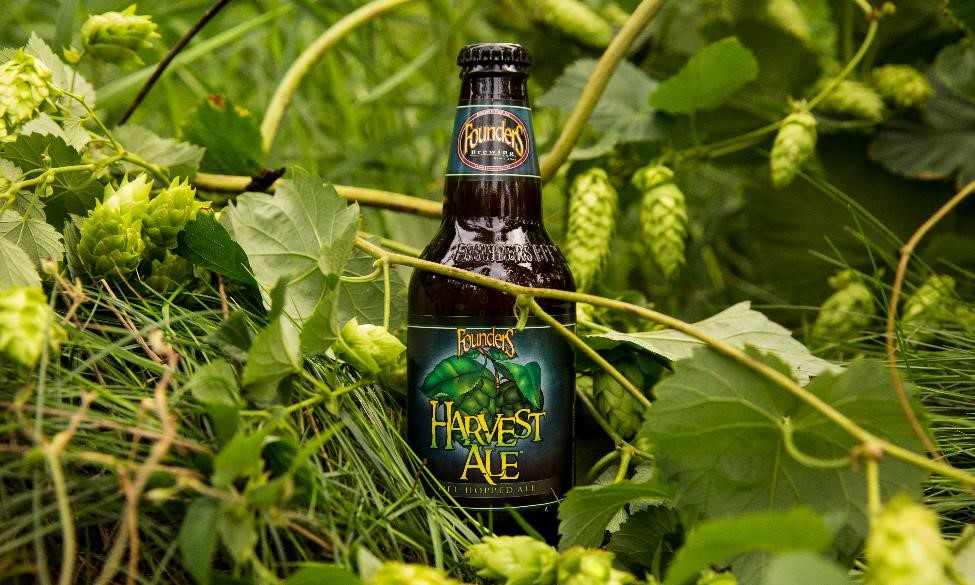 Bottle of Founders Harvest Ale in bushes of hops