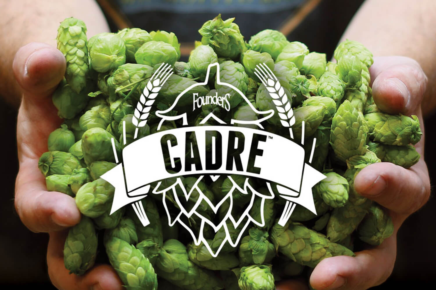 Hands holding hops with white Cadre logo overlay