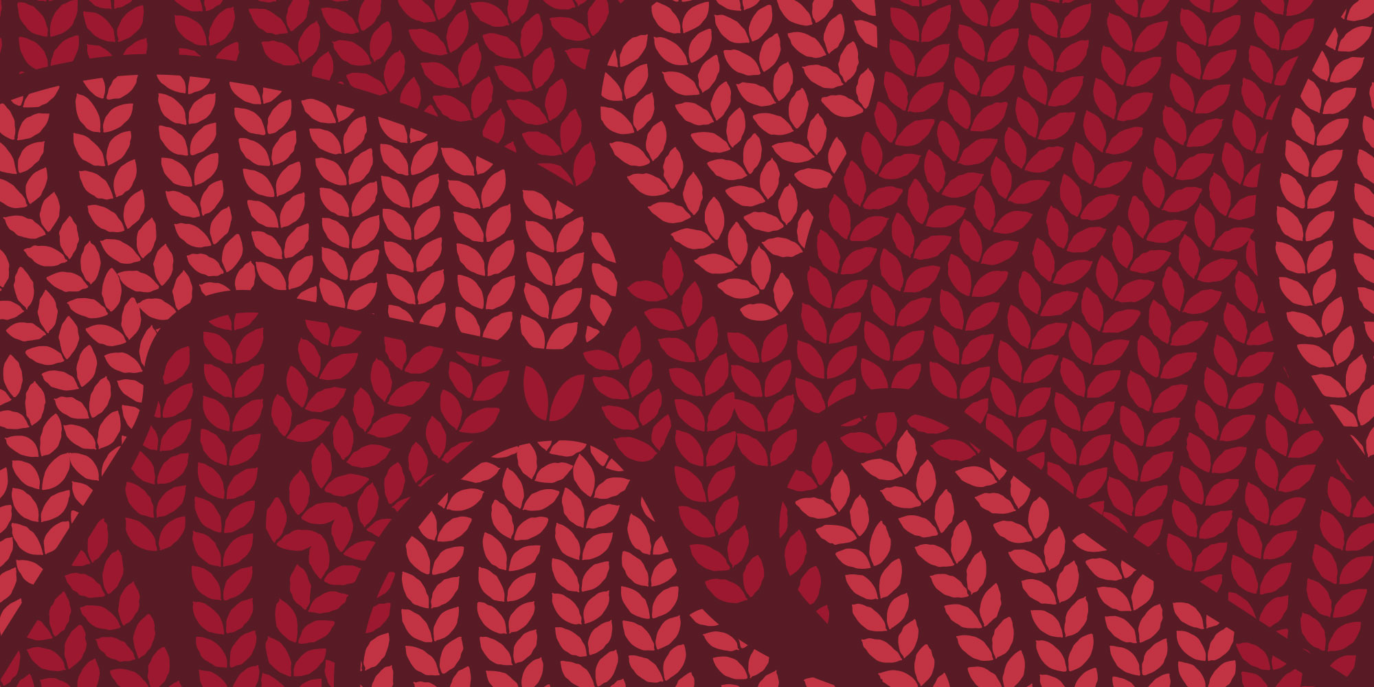 Red Sweater Banner